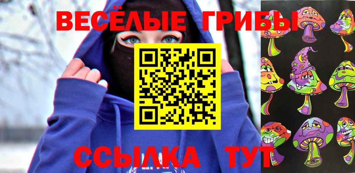Галлюциногенные грибы Psilocybine cubensis  Вход с VPN  Галлюциногенные грибы GOLDEN TEACHER  Гай 
