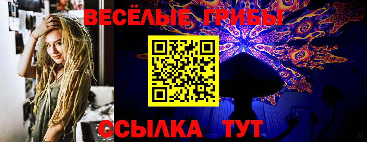 Псилоцибиновые грибы мухоморы Гай